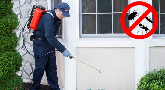 Digor Gümüşkurt İlaçlama böcek ilaçlama ve haşere kontrolü — ilaclama-tr.com